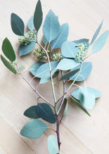 Load image into Gallery viewer, Spa Pillow-Standard Bed Size-Washable