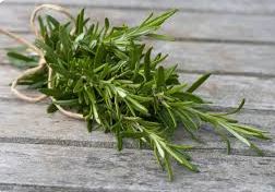Rosemary Mint Hair Elixir Treatment